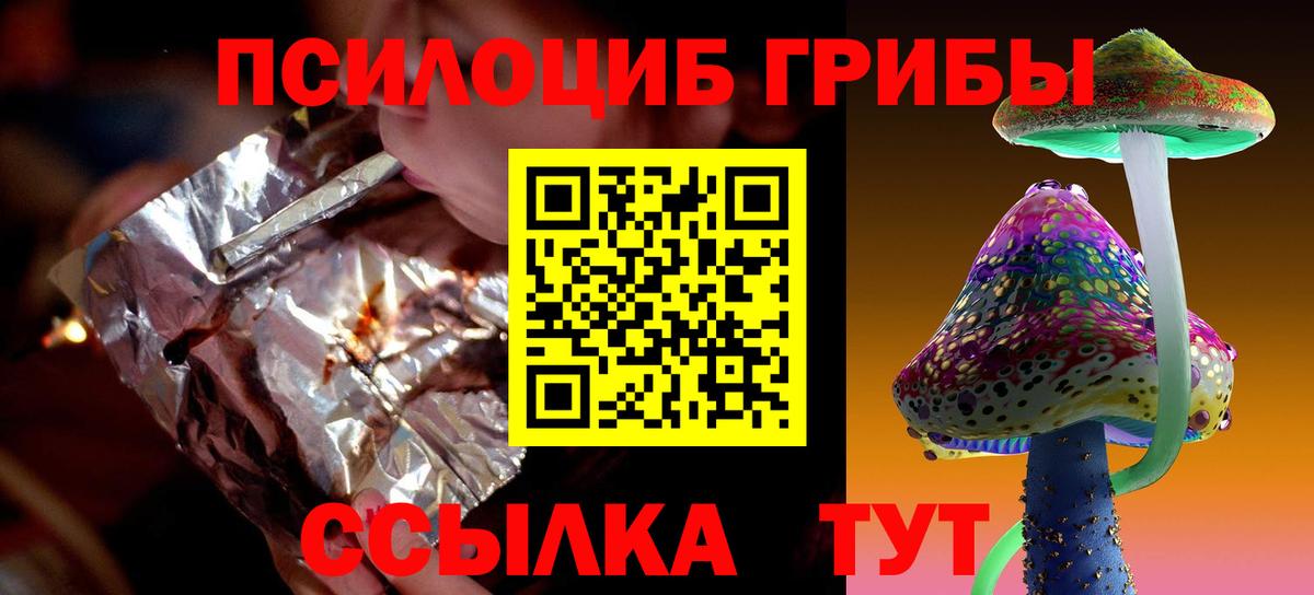 Галлюциногенные грибы Psilocybe Кубинка
